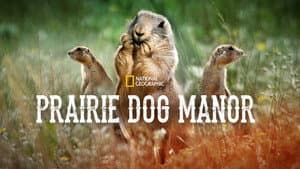 Prairie Dog Manor — foto 3
