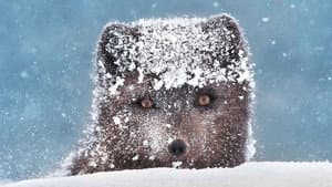 Stormborn — foto 3