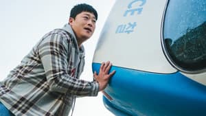 원더풀스 — foto 11
