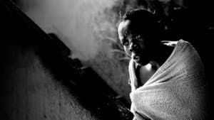 Into the Shadows — foto 1