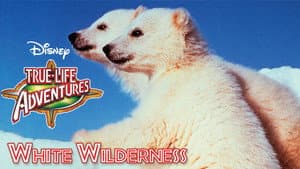 White Wilderness — foto 3