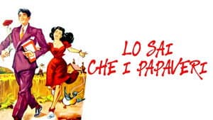 Lo sai che i papaveri... — foto 1