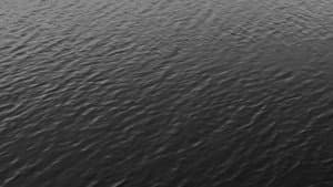 Facticity — foto 2