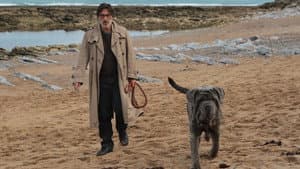 Mon chien stupide — foto 5
