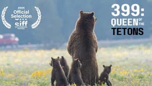 399: Queen of the Tetons — foto 1