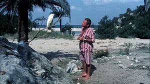 Il signor Robinson - Mostruosa storia d'amore e d'avventure — foto 7