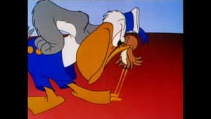 The Pelican and the Snipe — foto 2
