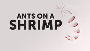 Ants on a Shrimp — foto 8