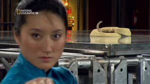 Episodio 4