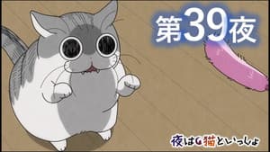 Episodio 39