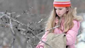 The Christmas Bunny — foto 1
