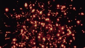 Anagramas de luz — foto 1