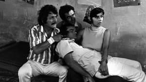 Malteses, Burgueses e às Vezes... — foto 1