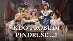 Kdo probudí Pindruše...? — foto 1