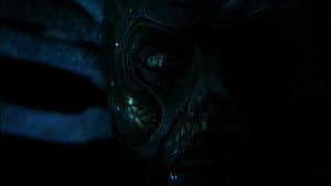 Especies II — foto 10