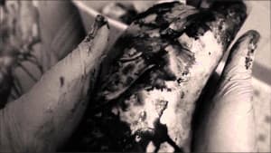 Lung — foto 1
