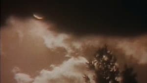 杣人物語 — foto 2