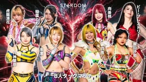 STARDOM in KORAKUEN 2026 Apr. — foto 4