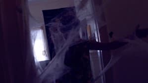 Along came a spider — foto 1
