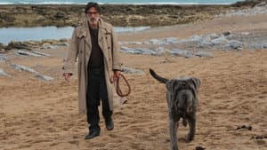 Mon chien stupide — foto 3