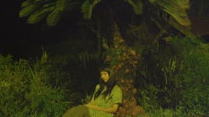 きいろいゾウ — foto 6