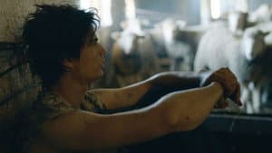 Larry — foto 6