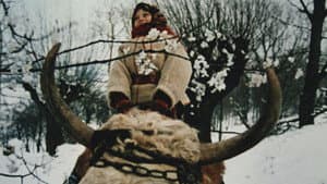 Така пізня, така тепла осінь — foto 6