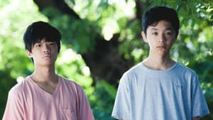 夏日紀事 — foto 2