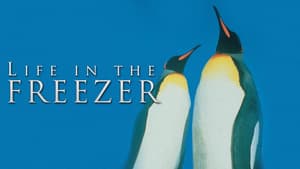 Life in the Freezer — foto 1