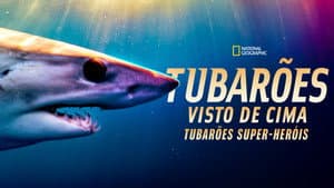 Shark Superpower — foto 9