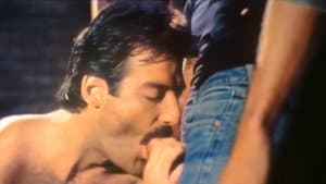 Closed Set — foto 5