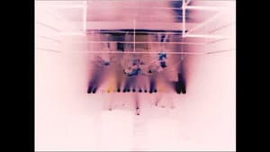 an untitled self portrait archive film — foto 2