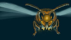 Attack of the Murder Hornets — foto 1