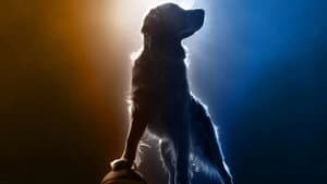 Air Bud Returns — foto 1