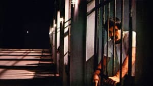 Yağmur Kaçakları — foto 1