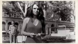 Stranger in Hollywood — foto 1