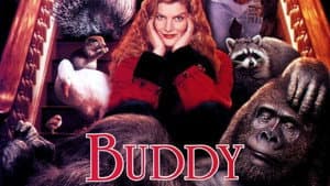 Buddy — foto 3