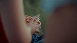 Sea, Swallow Me — foto 1
