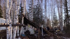 K'i Tah Amongst the Birch — foto 2