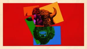 The Buffalo Hunt — foto 1