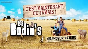 Les Bodin's - Grandeur Nature - La Dernière Des Zénith — foto 1