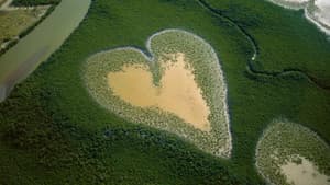 Nature : pour une réconciliation — foto 5