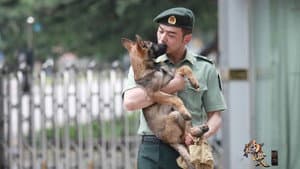 神犬奇兵 — foto 1