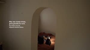 Hoy me siento triste, pero pronto la veré. — foto 9