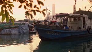 The Fisherman — foto 3