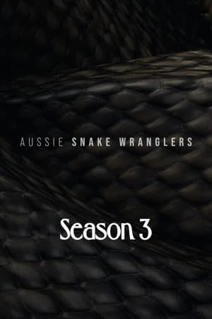 Temporada 3