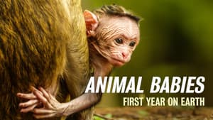 Animal Babies: First Year On Earth — foto 1