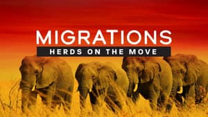 Migrations: Herds on the Move — foto 3