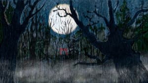 Obon — foto 1