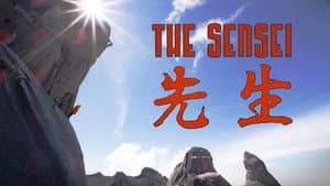 The Sensei — foto 1